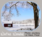 Winter Garden Calendar - House and Snow