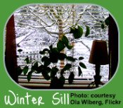 Winter Garden Calendar-Plant on Windowsill